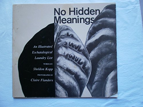 No Hidden Meanings: An Illustrated Eschatological Laundry List