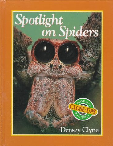 Spotlight on Spiders (Nature Close-Ups)
