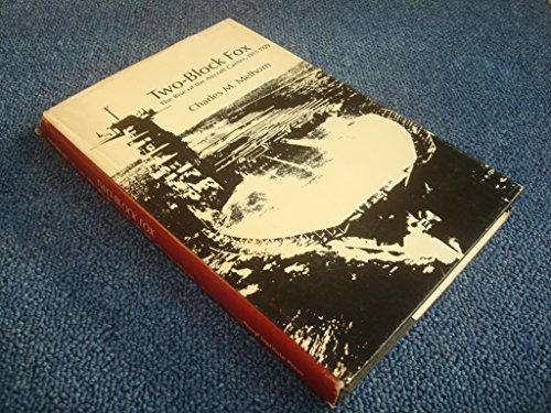 Two-Block Fox: The Rise of the Aircraft Carrier, 1911-1929