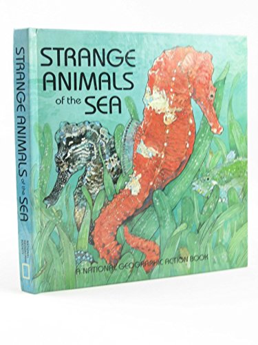 Strange Animals of the Sea