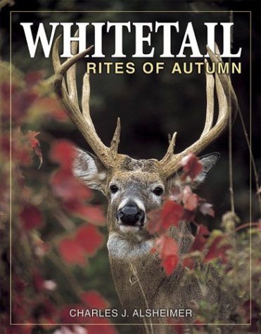 Whitetail Rites of Autumn