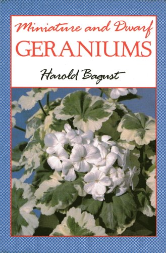 Miniature and Dwarf Geraniums/Pelargoniums