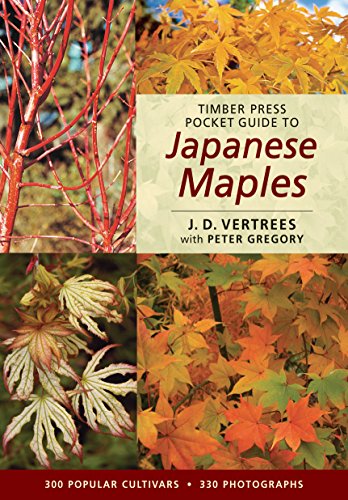 Timber Press Pocket Guide to Japanese Maples