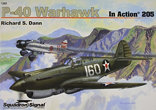 P-40 Warhawk in action - Aircraft No. 205