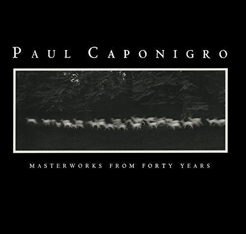 Cover of Paul Caponigro: Masterworks from Forty Years by Paul Caponigro, Hardcover Book