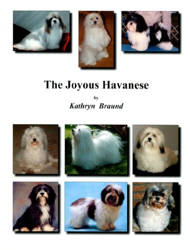 The Joyous Havanese