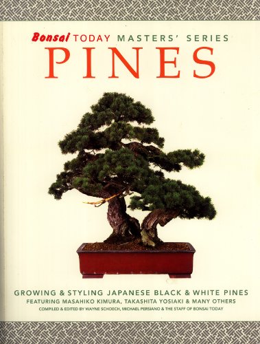 Bonsai Today Masters' Series: Pines, Growing & Styling Japanese Black & White Pines featuring Masahiko Kimura, Takashita Yosiaki & Many Others