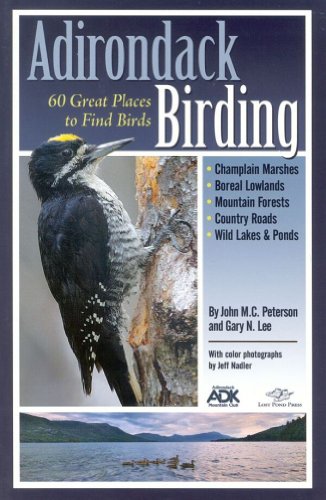 Adirondack Birding