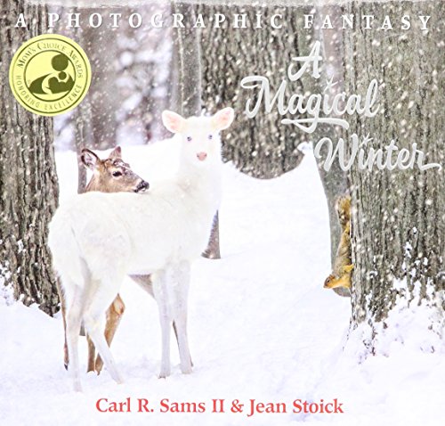 A Magical Winter: A Photographic Fantasy