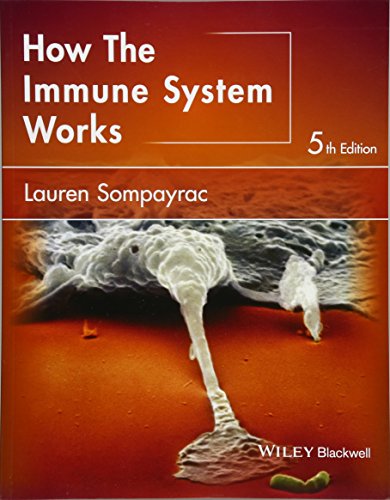 How the Immune System Works