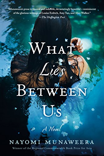 What Lies Between Us: A Novel