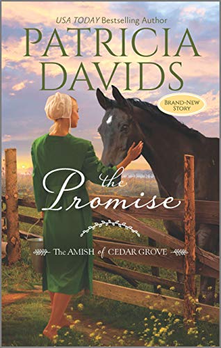 The Promise: A Clean & Wholesome Romance (The Amish of Cedar Grove)