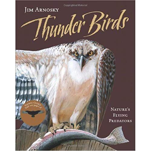 Thunder Birds: Nature’s Flying Predators