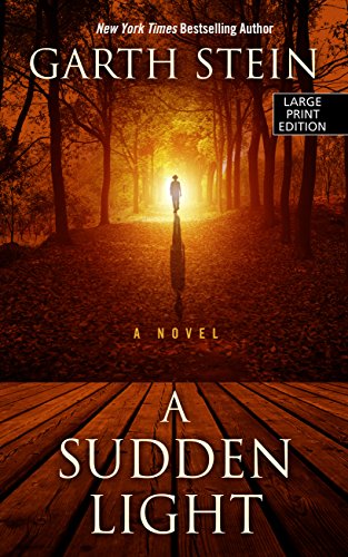 A Sudden Light (Wheeler Publishing Large Print Hardcover)