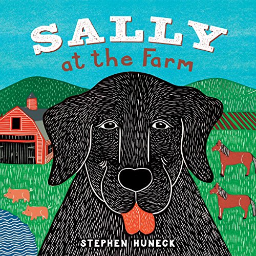 Sally at the Farm: A Board Book (Sally Board Books)