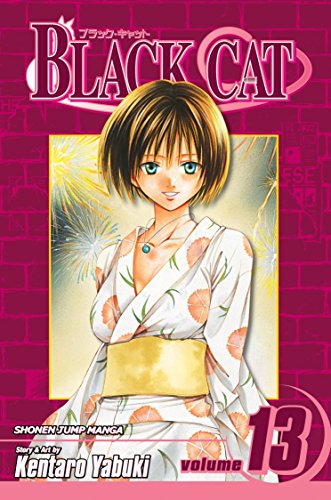 Black Cat, Vol. 13: Dear Friend
