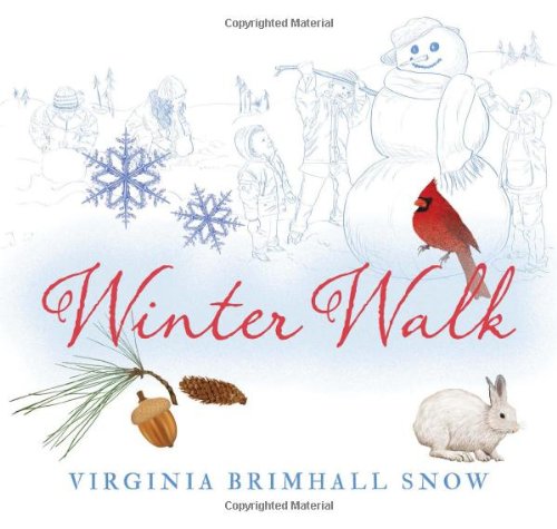 Winter Walk (Seasonal Walks)