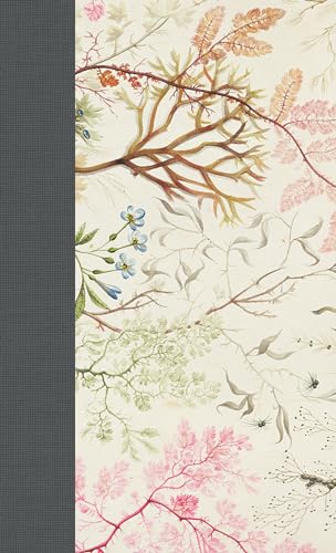 ESV Journaling Bible, Writer's Edition (Elegant Grace)