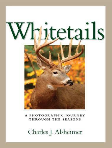 Whitetails: A Photographic Journey Through the Seasons