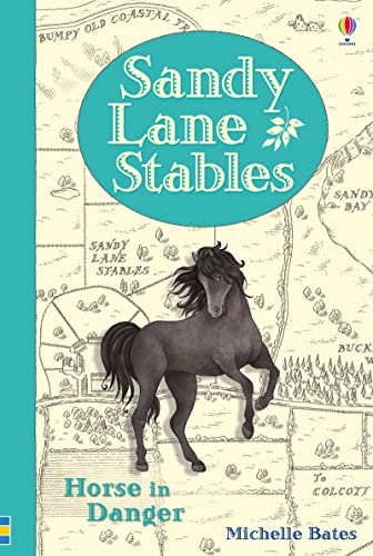 Sandy Lane Stables - Horse in Danger