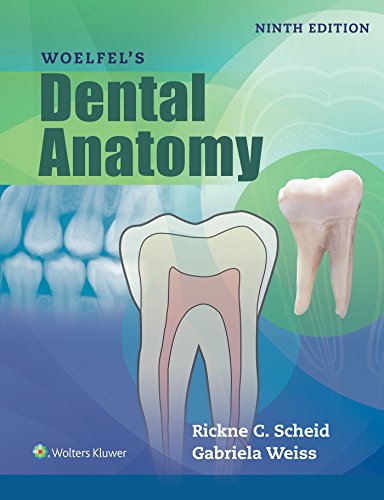 Woelfels Dental Anatomy: .