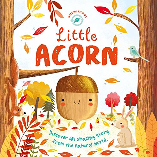 Little Acorn