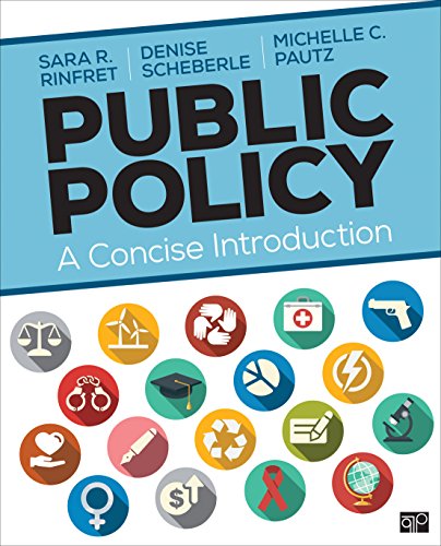 Public Policy: A Concise Introduction