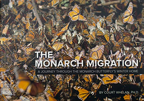 The Monarch Migration: A Journey through the Monarch Butterfly's Winter Home