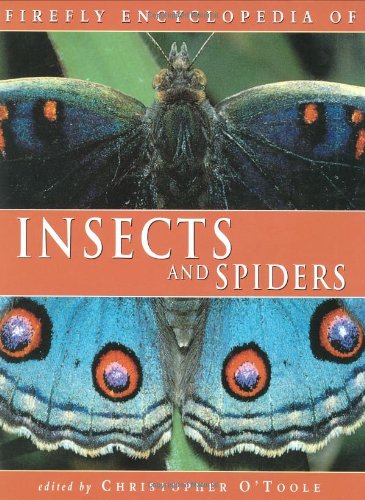 Firefly Encyclopedia of Insects and Spiders