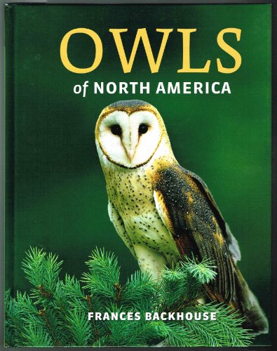 Owls of North America