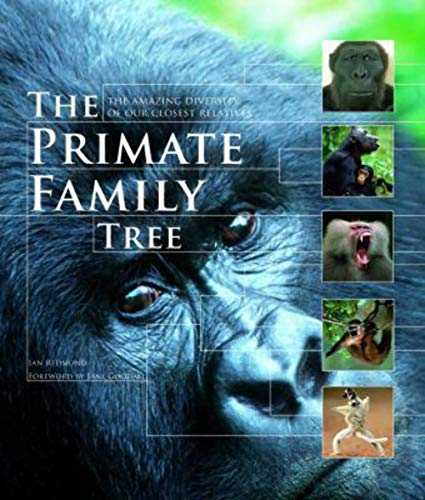 The Primate Family Tree: The Amazing Diversity of Our Closest Relatives