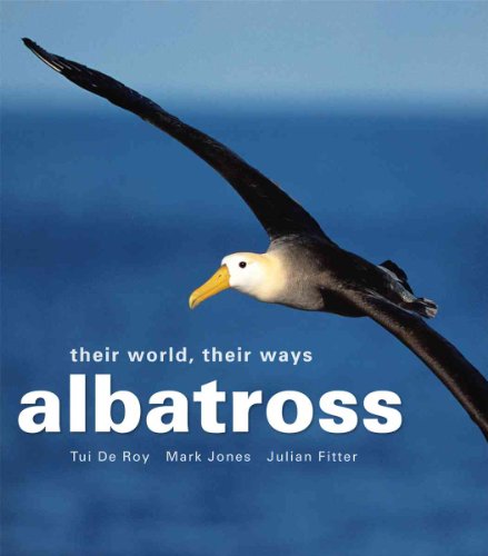 Albatross: Their World, Their Ways