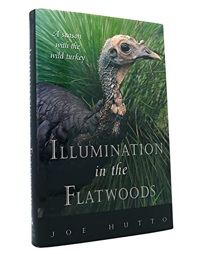 Illumination in the Flatwoods: A Season With the Wild Turkey