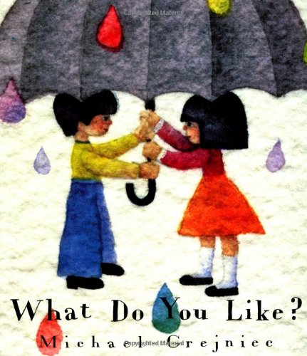 What Do You Like? (North-south Paperback)