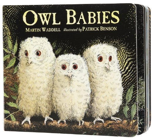 Owl Babies