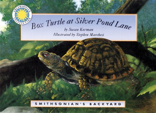 Box Turtle at Silver Pond Lane (Smithsonian's Backyard)