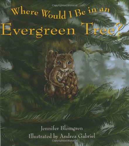 Where Would I Be in an Evergreen Tree?