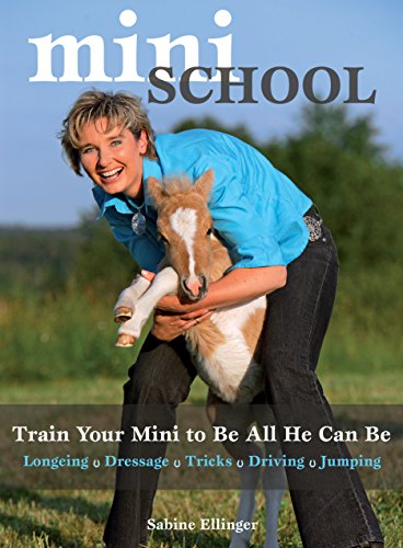 Mini School: Train Your Mini to Be All He Can Be