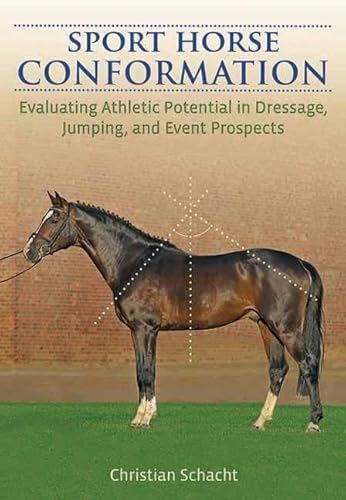 Sport Horse Conformation: Evaluating Athletic Potential in Dressage, Jumping and Eventing Prospects