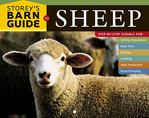 Storey's Barn Guide to Sheep - by Storey - Paperback