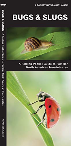 Bugs & Slugs: A Folding Pocket Guide to Familiar North American Invertebrates (A Pocket Naturalist Guide)