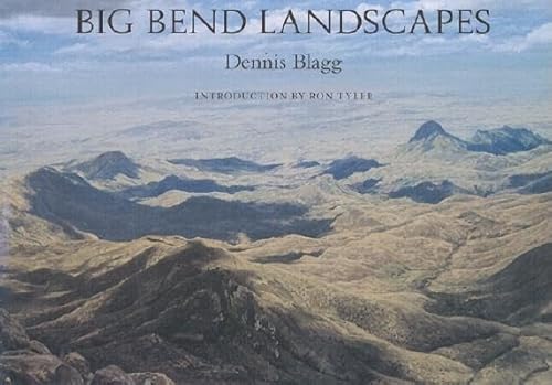 Big Bend Landscapes (Volume 12) (Joe and Betty Moore Texas Art Series)