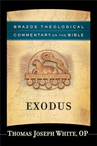 Exodus: (A Theological Bible Commentary from Leading Contemporary Theologians - BTC) (Brazos Theological Commentary on the Bible)