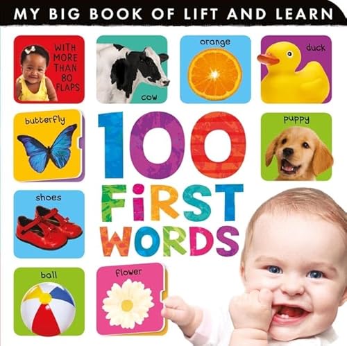 100 First Words (My Big Book of Lift and Learn)