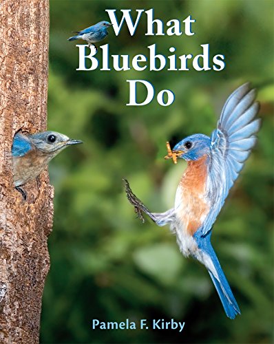 What Bluebirds Do