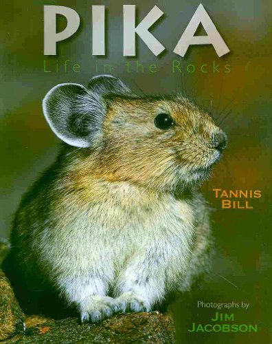 Pika: Life in the Rocks