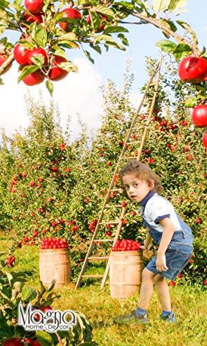 Learning to Slow Down and Pay Attention: A Book for Kids About ADHD