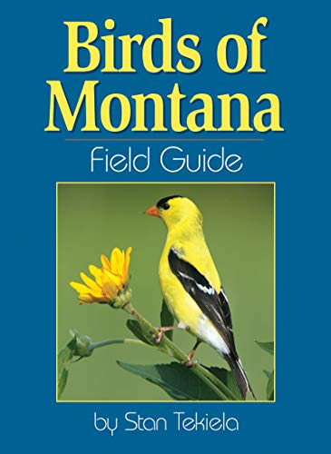 Birds of Montana Field Guide (Bird Identification Guides)