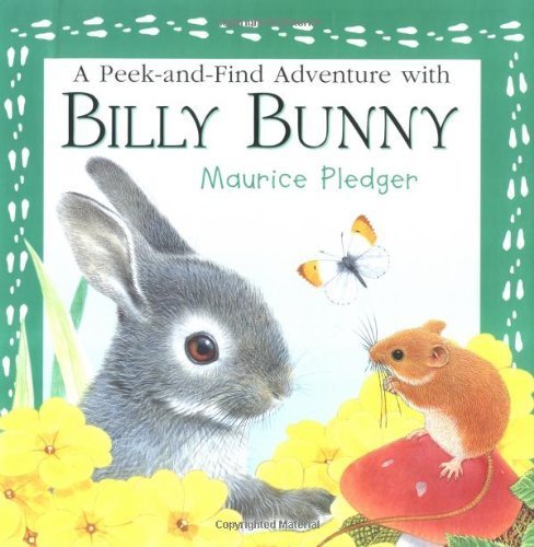 Peek-and-find Adventure With Billy Bunny