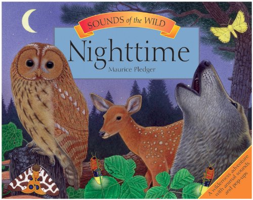 Sounds of the Wild: Nighttime